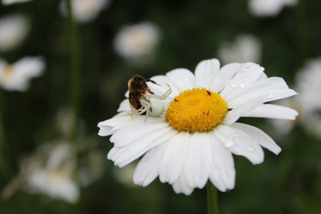 The Best Foods To Stockpile For Survival