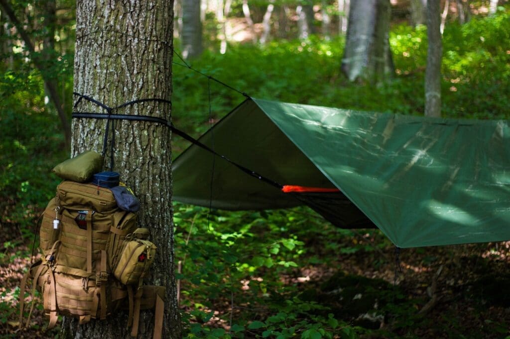 What Are The Essential Survival Skills You Need To Know?