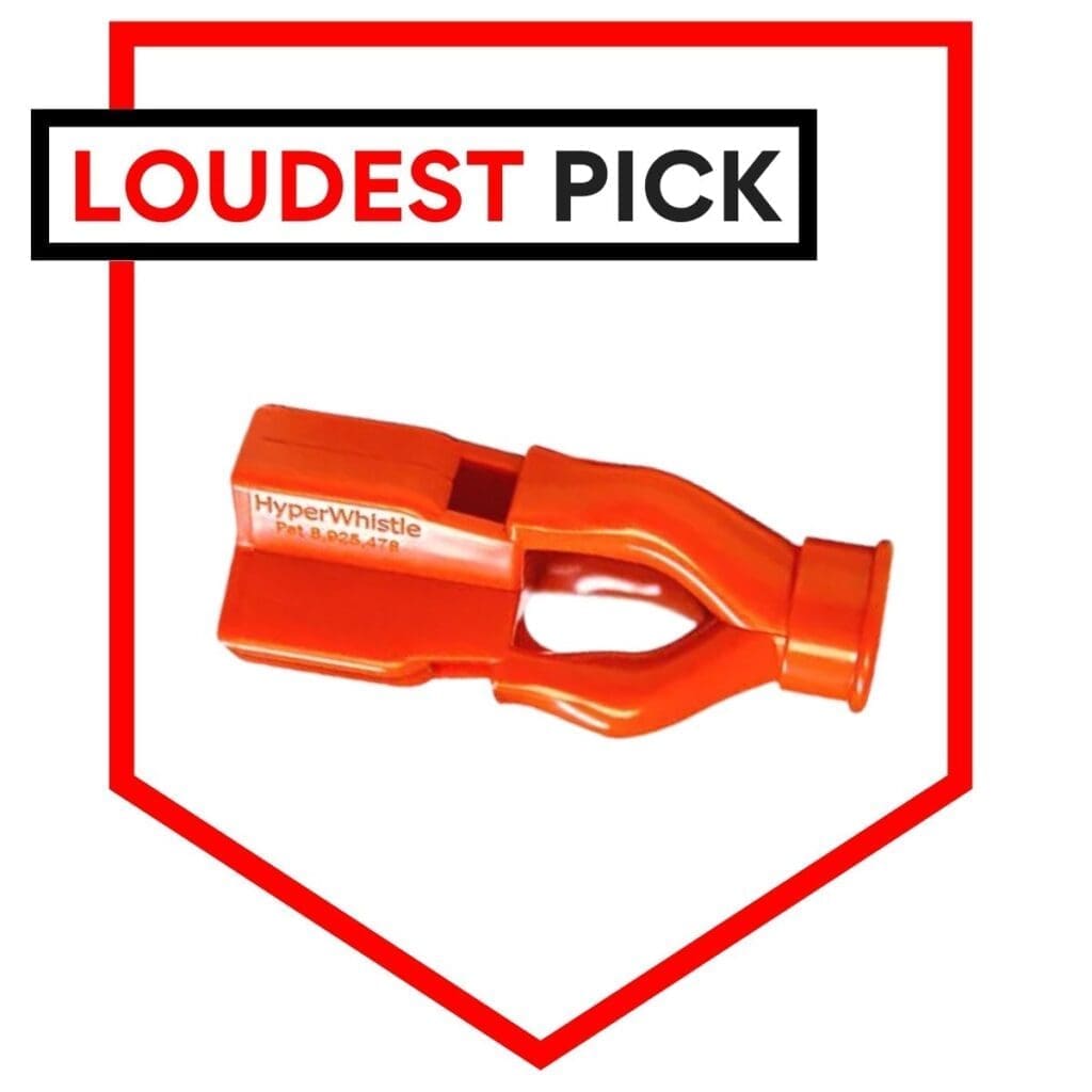 Choosing The Right Emergency Whistle For Survival