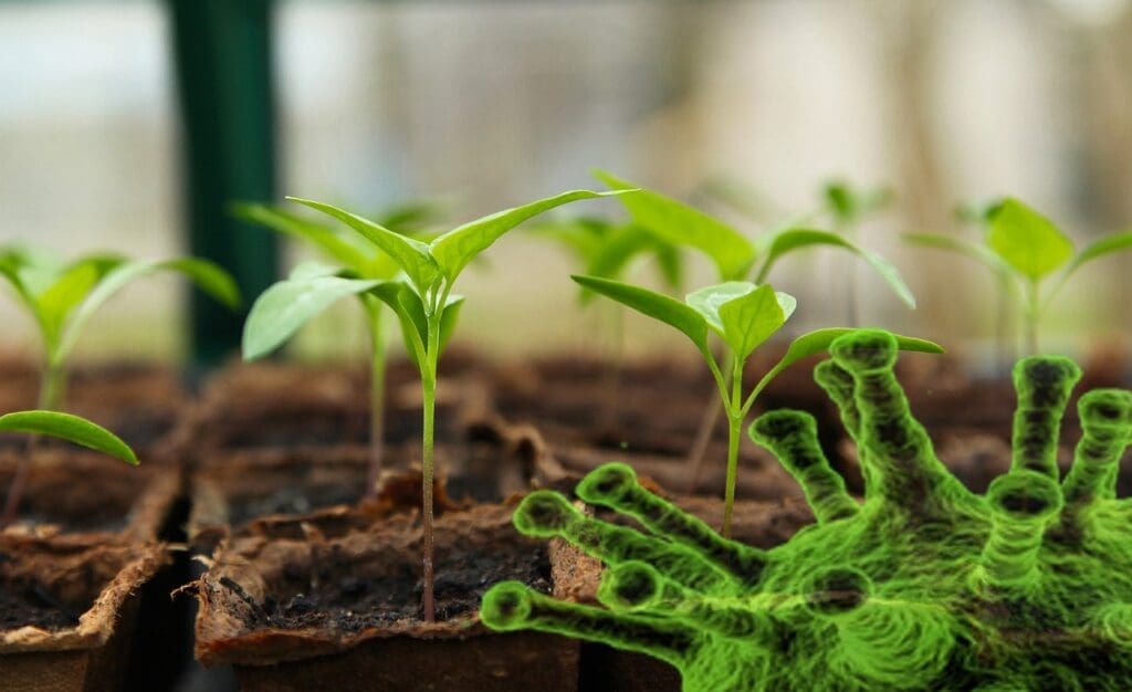 Common Mistakes To Avoid During A Societal Breakdown Common Mistakes To Avoid During A Societal Breakdown