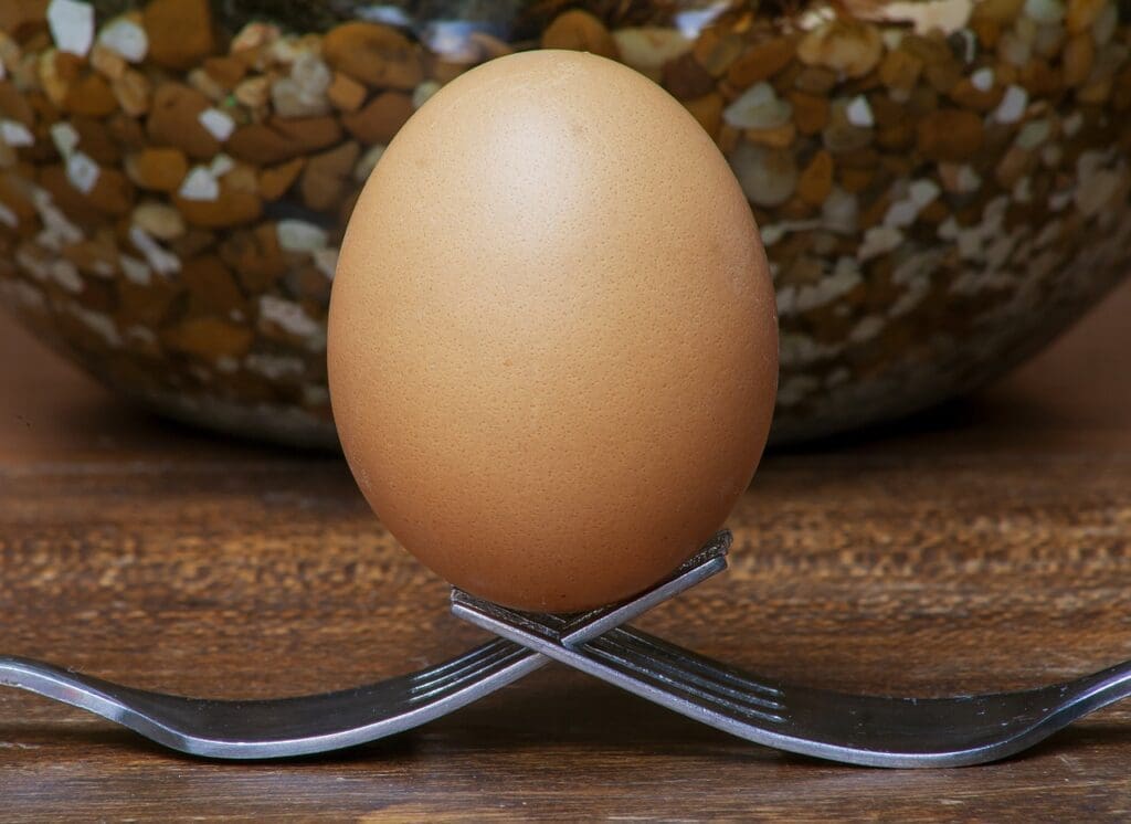 Common Mistakes To Avoid During A Societal Breakdown Common Mistakes To Avoid During A Societal Breakdown