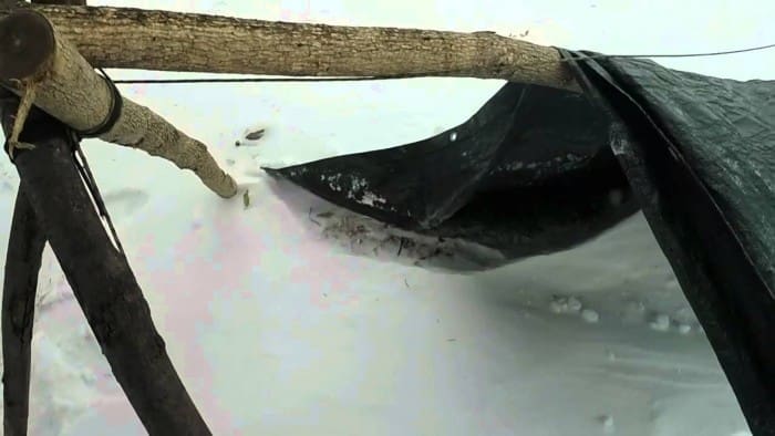 Common Mistakes To Avoid When Building A Shelter