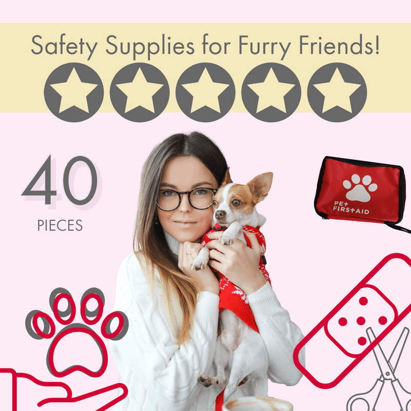 Emergency Kits For Pets: Keeping Your Furry Friends Safe