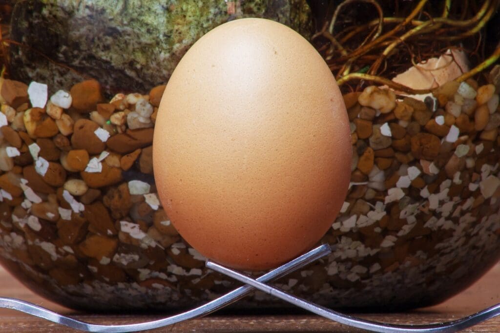 Emergency Water Storage Solutions For Apartment Dwellers