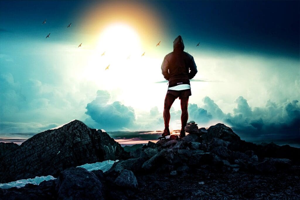 How To Find Food In The Wilderness How To Find Food In The Wilderness