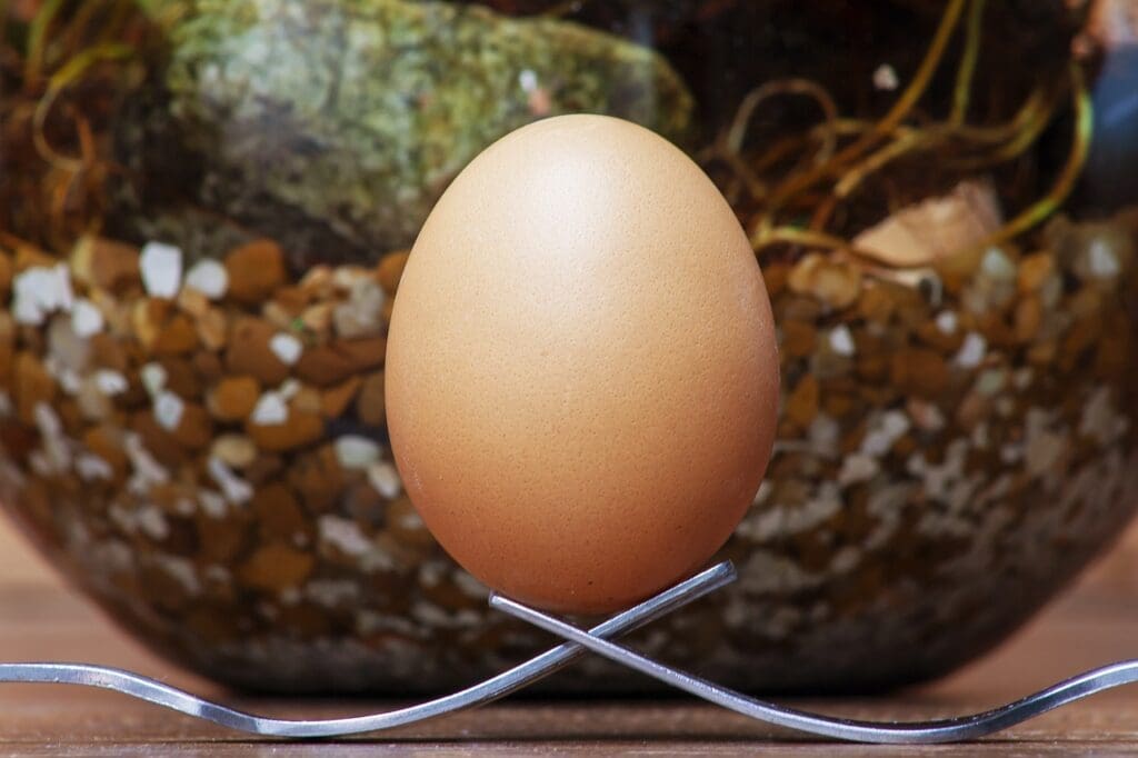 How To Rotate Your Emergency Water Supply