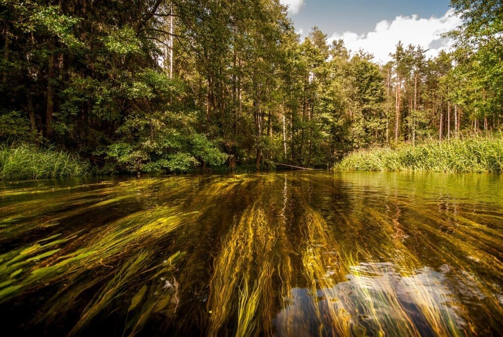 Most Popular Survival Myths Debunked Most Popular Survival Myths Debunked