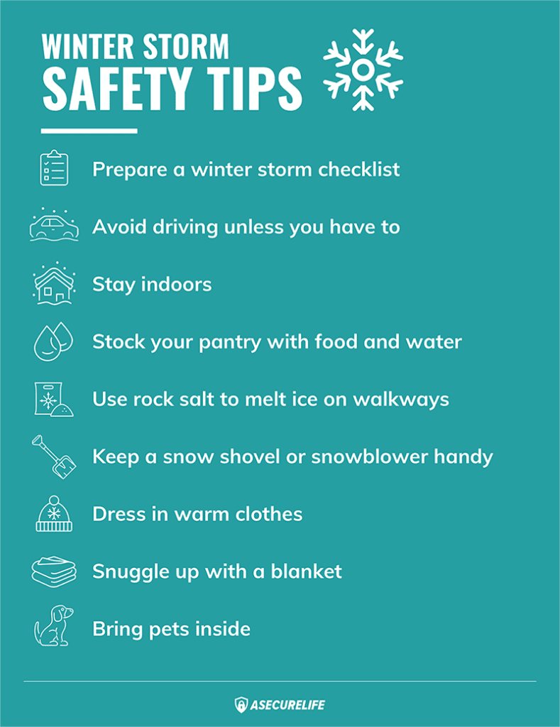 Survival Guide For Winter Storms