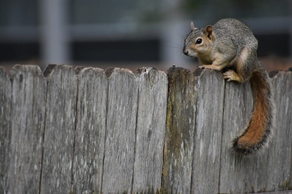 The Best Survival Techniques For Finding Food The Best Survival Techniques For Finding Food