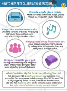 How To Keep Your Pets Calm During A Thunderstorm