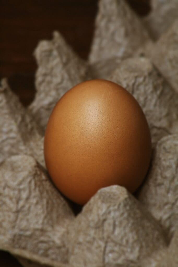 How To Properly Package Bulk Food For Emergency Use