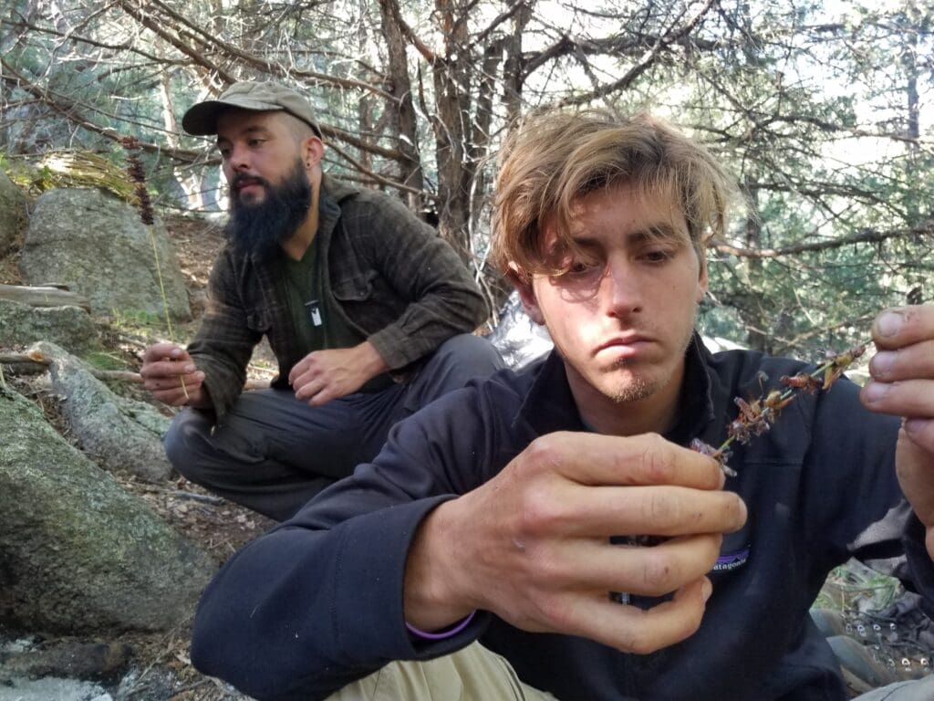 The Role Of Psychology In Survival Training