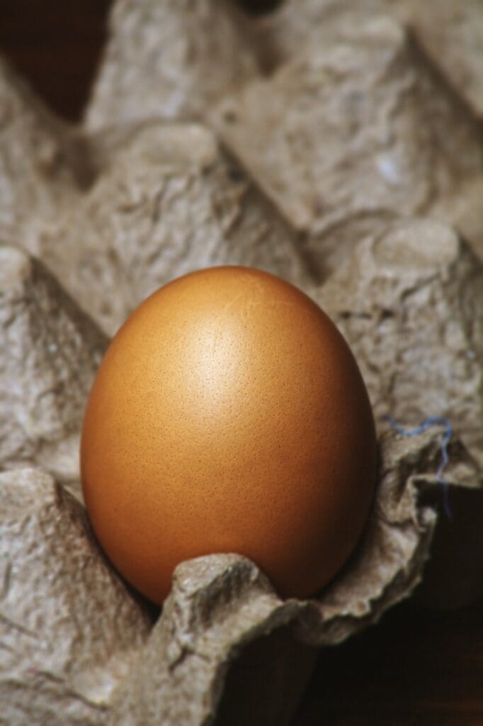 Top 5 Survival Books Every Prepper Should Read