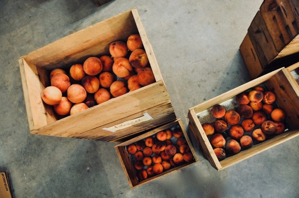 Top Food Storage Containers For Emergency Supplies