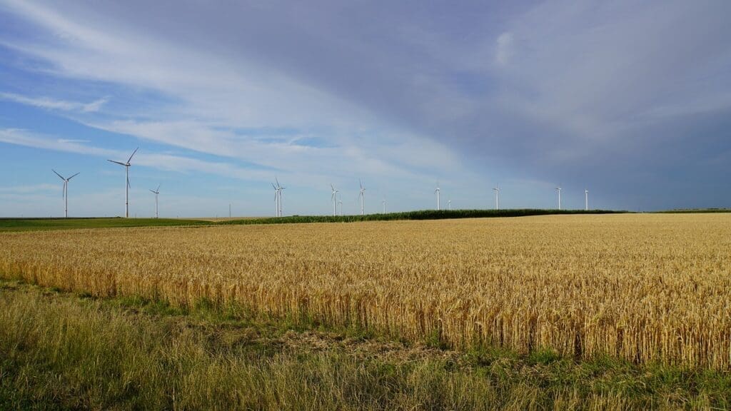 Top Survival Tips For Dealing With Extreme Heat