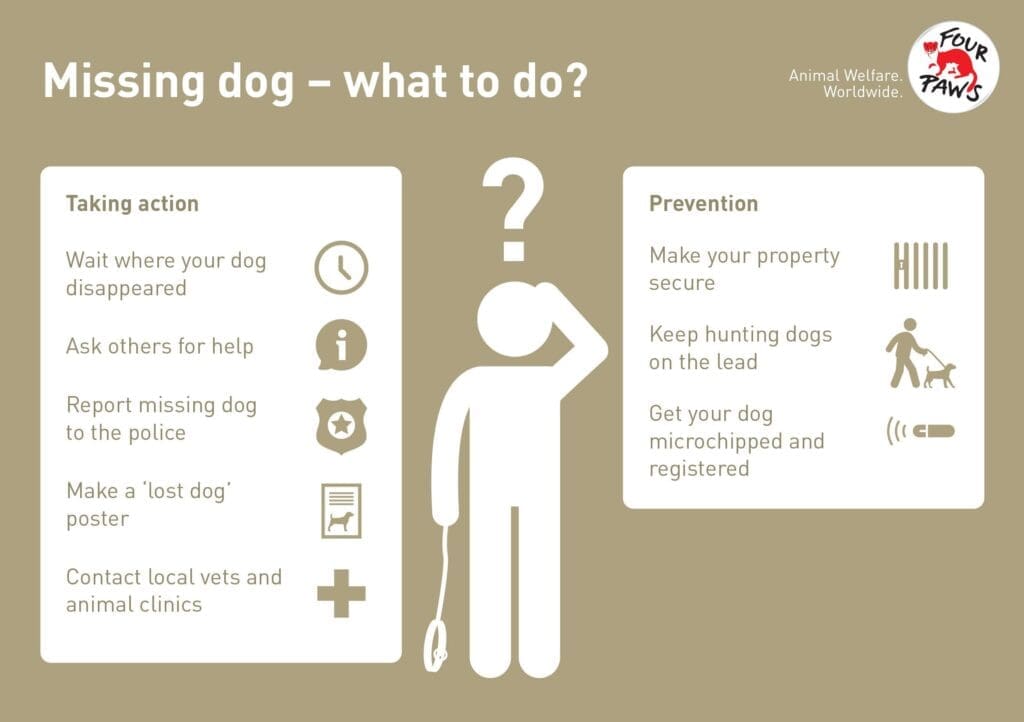 What To Do If Your Pet Goes Missing During A Disaster