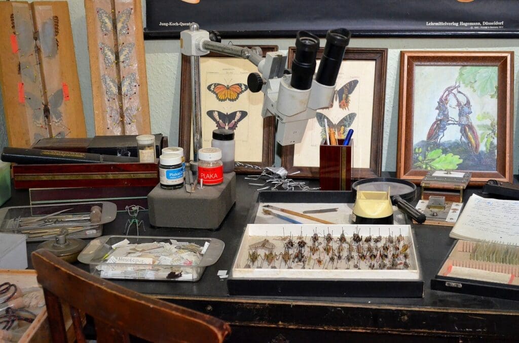 Best Ways To Stockpile Food And Water For Emergencies